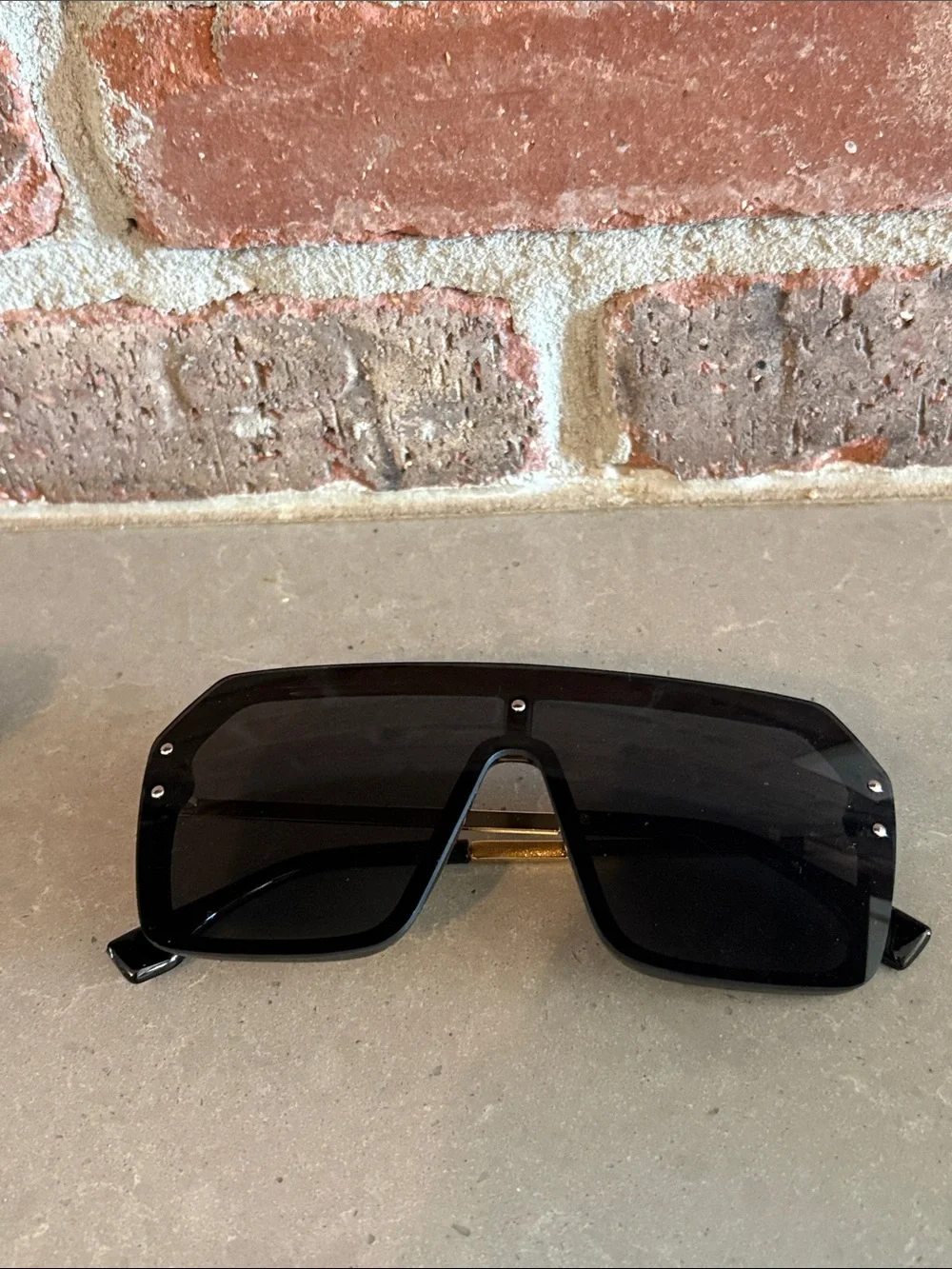 Women’s Oversized Black Shield Sunglasses with Case With Gold